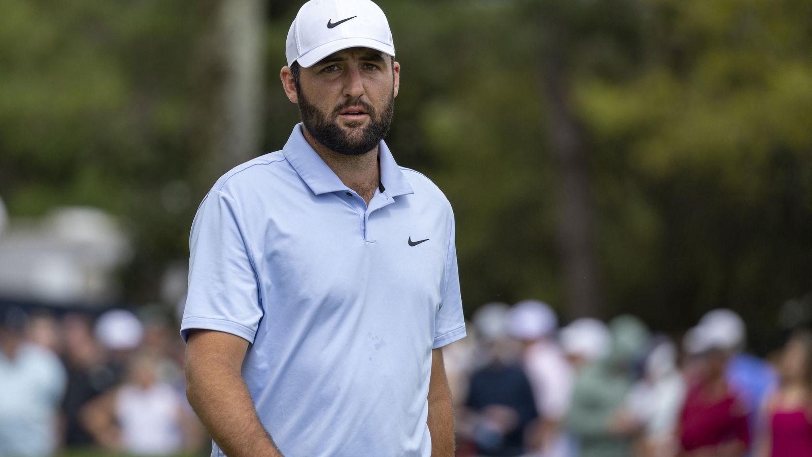 Multiple major champion cracks up golf fans with Scottie Scheffler impression