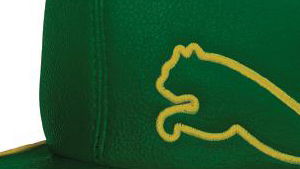 Masters headcover from Cobra Puma