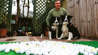The great Surrey golf ball mystery!