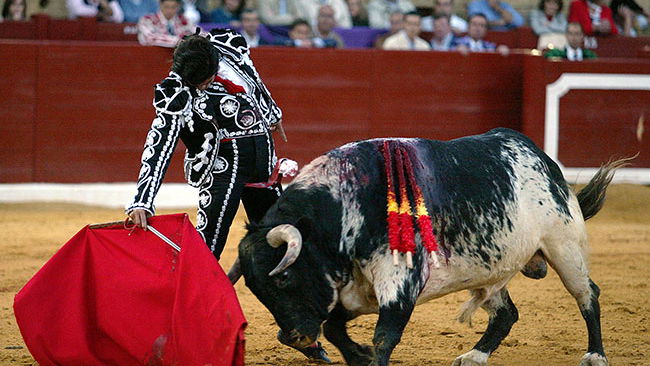 Drain that putt like a bull-fighter!