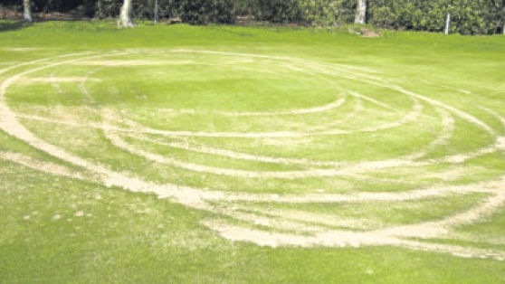 Dundee golf course targeted by vandals