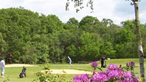 Hedsor Golf Course review