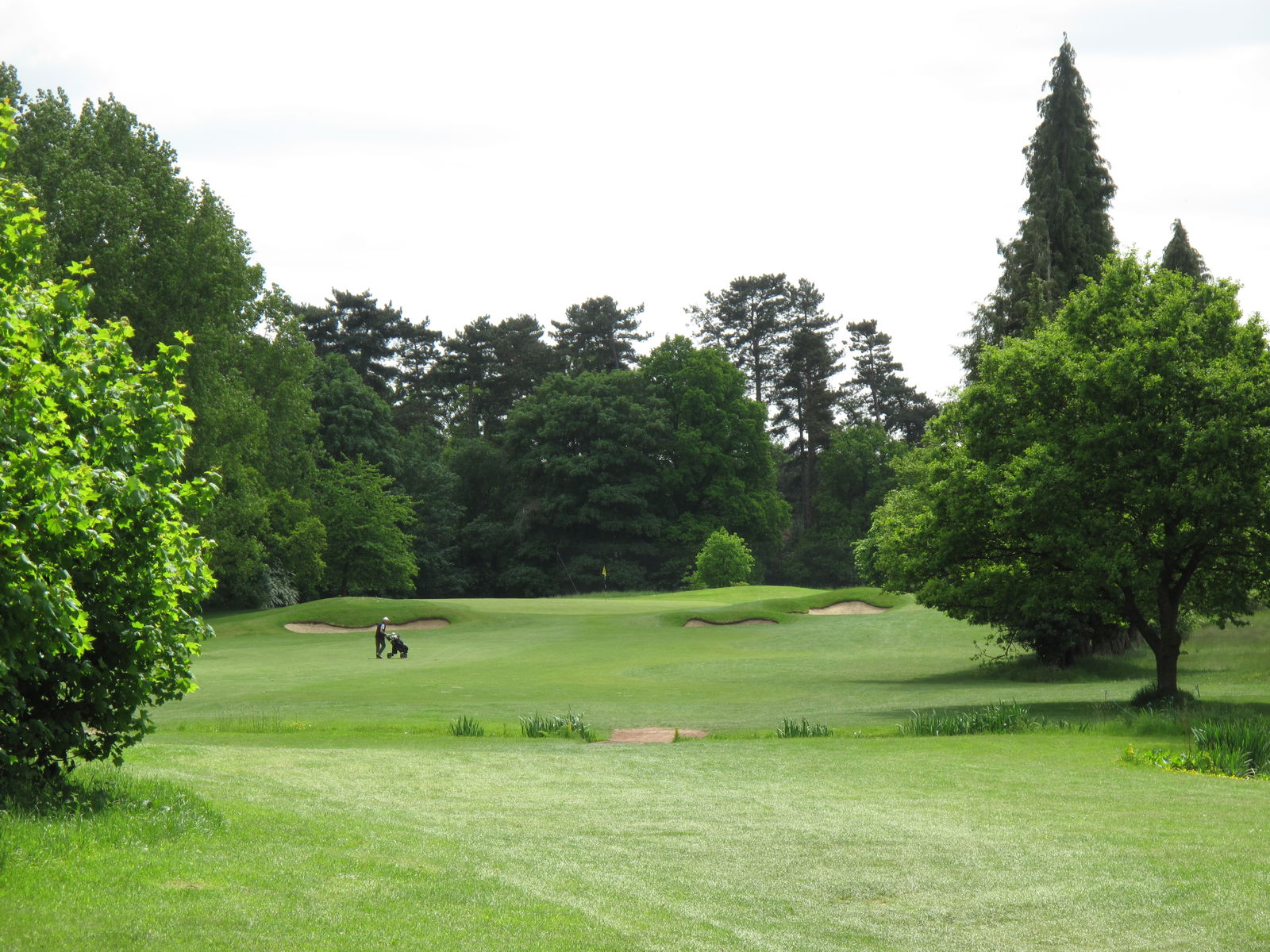 Hedsor Golf Course review
