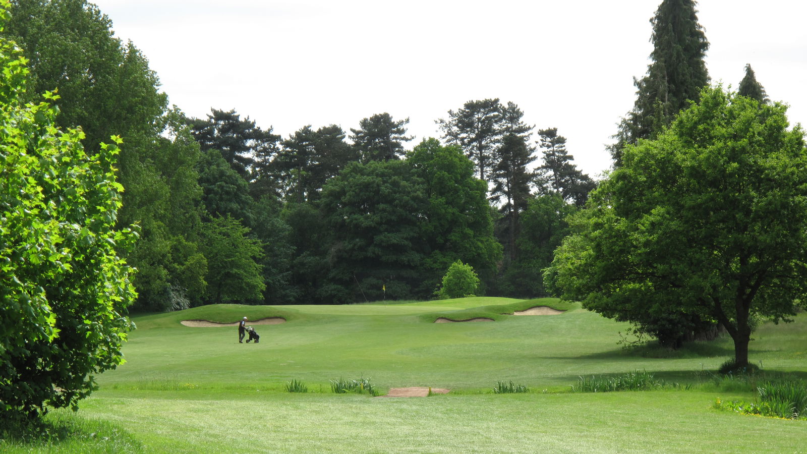 Birdie opportunity