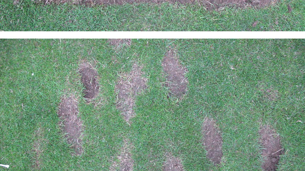 Golf Practice Drills: the perfect divot