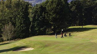 Vandals damage golf club greens
