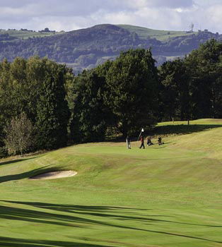 Vandals damage golf club greens