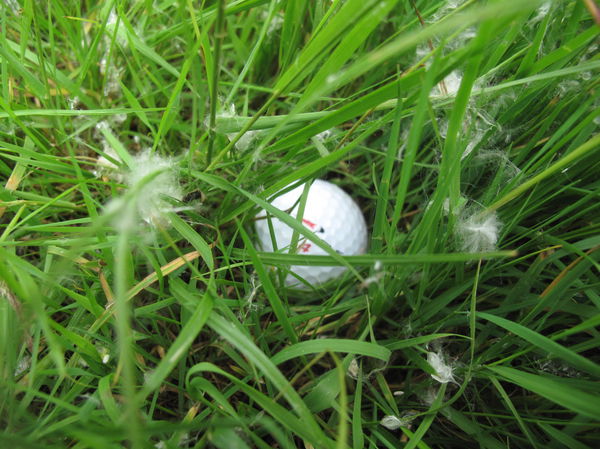 Toughest Golf Shots: pitch over bunker to tight pin