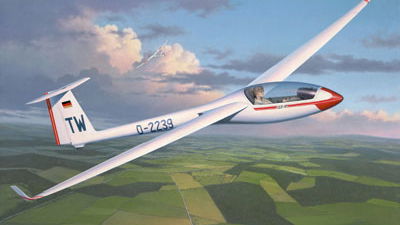 FORE! Glider lands on golf course