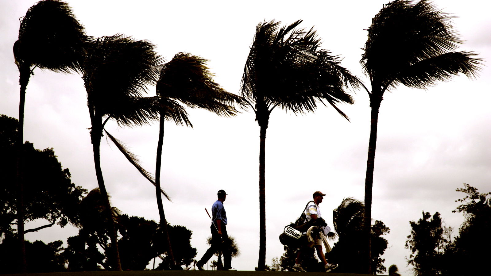 Ten of the Best: Golf in the wind tips