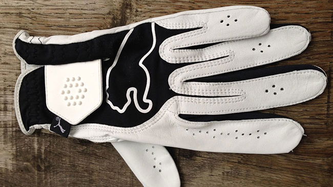 Srixon Cabretta Leather