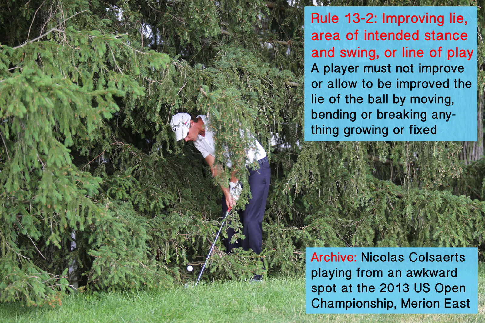 Ravers stop golfers in their tracks
