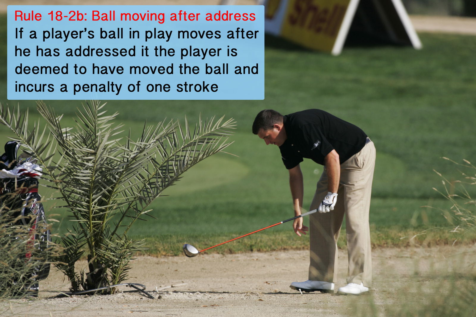 Golf Rule 16: The putting green