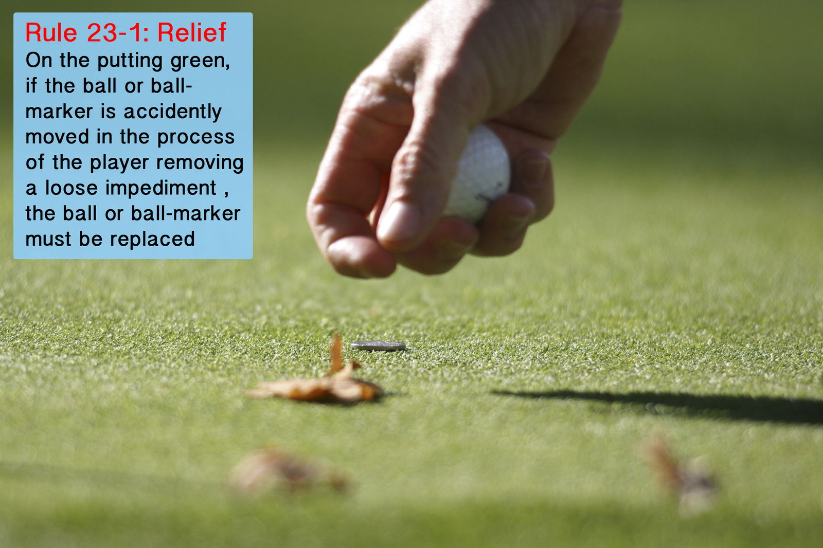 Golf Rule 22: Ball assisting or interfering with play