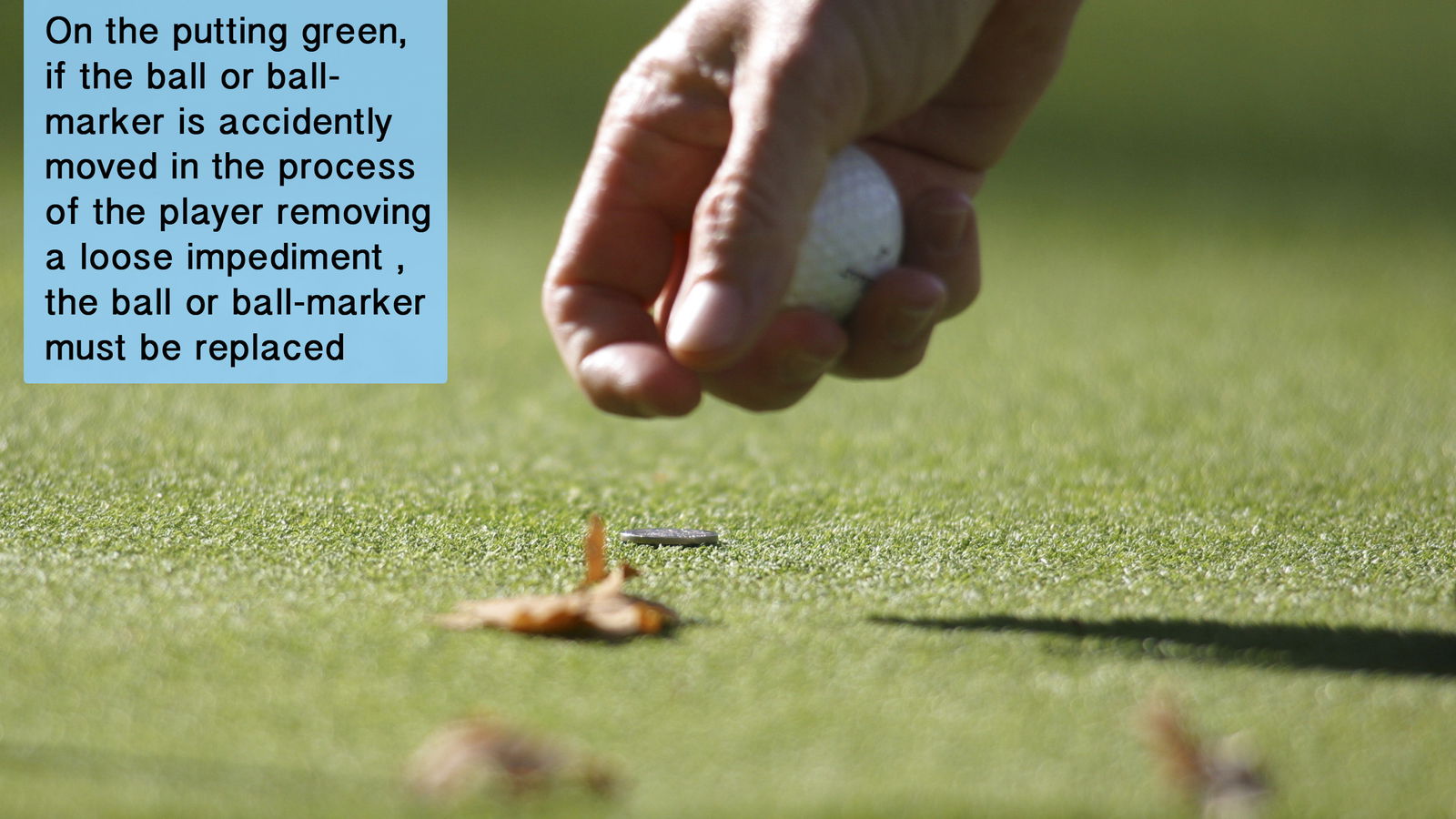 Golf Rule 23: Loose impediments