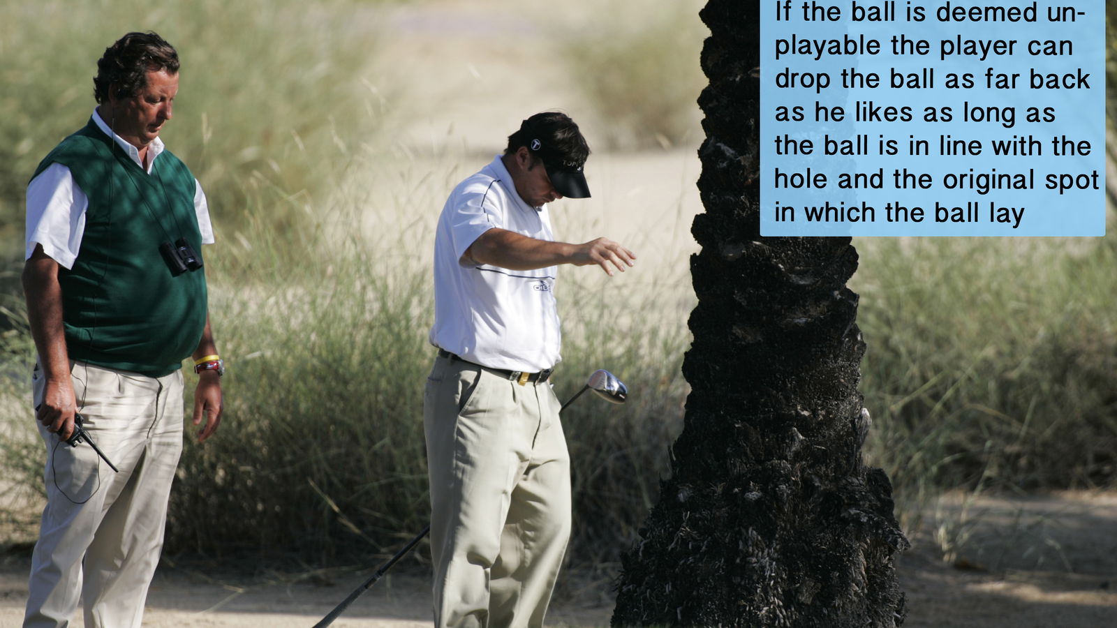 Golf Rule 28: Ball unplayable