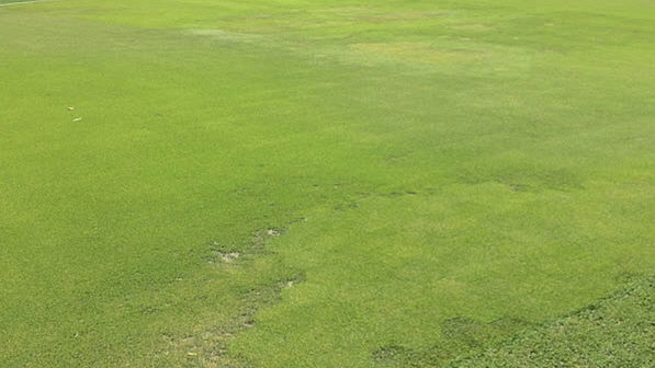 Greens at TPC Sawgrass suffer ahead of Players Championship