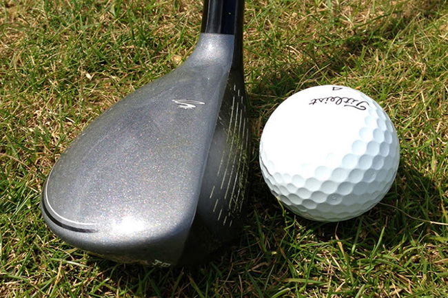 Review: Adams Pro Mini Hybrid