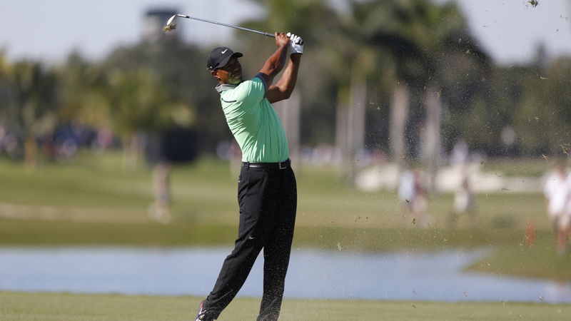 Coltart: US team stronger without Woods