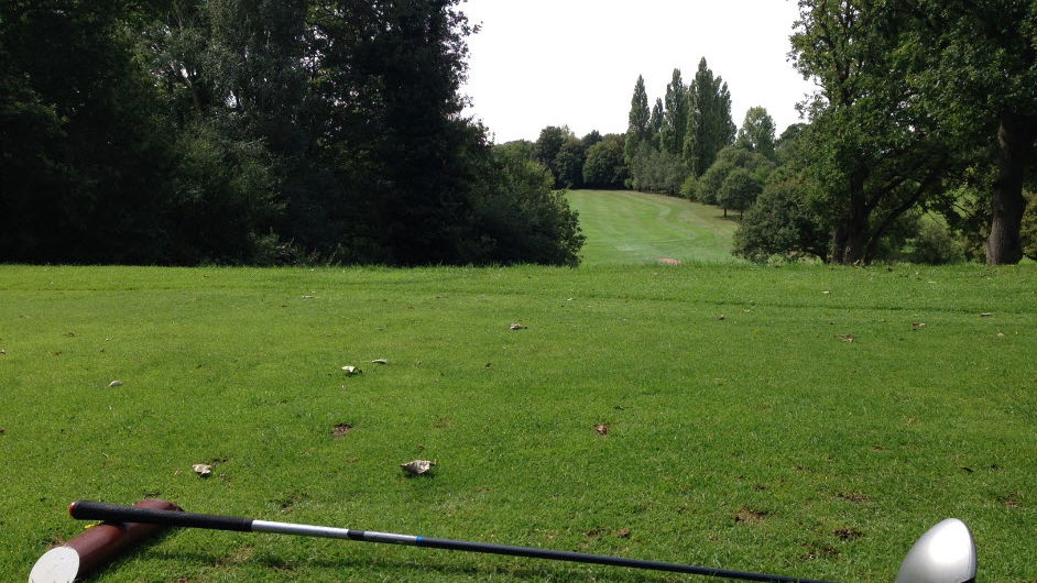 Review: TaylorMade SLDR S Driver