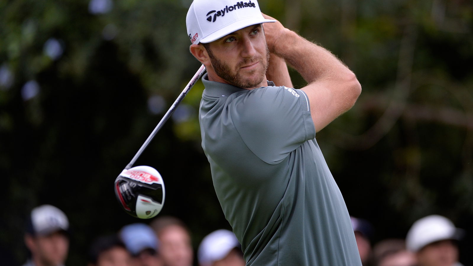 Dustin Johnson: swing sequence