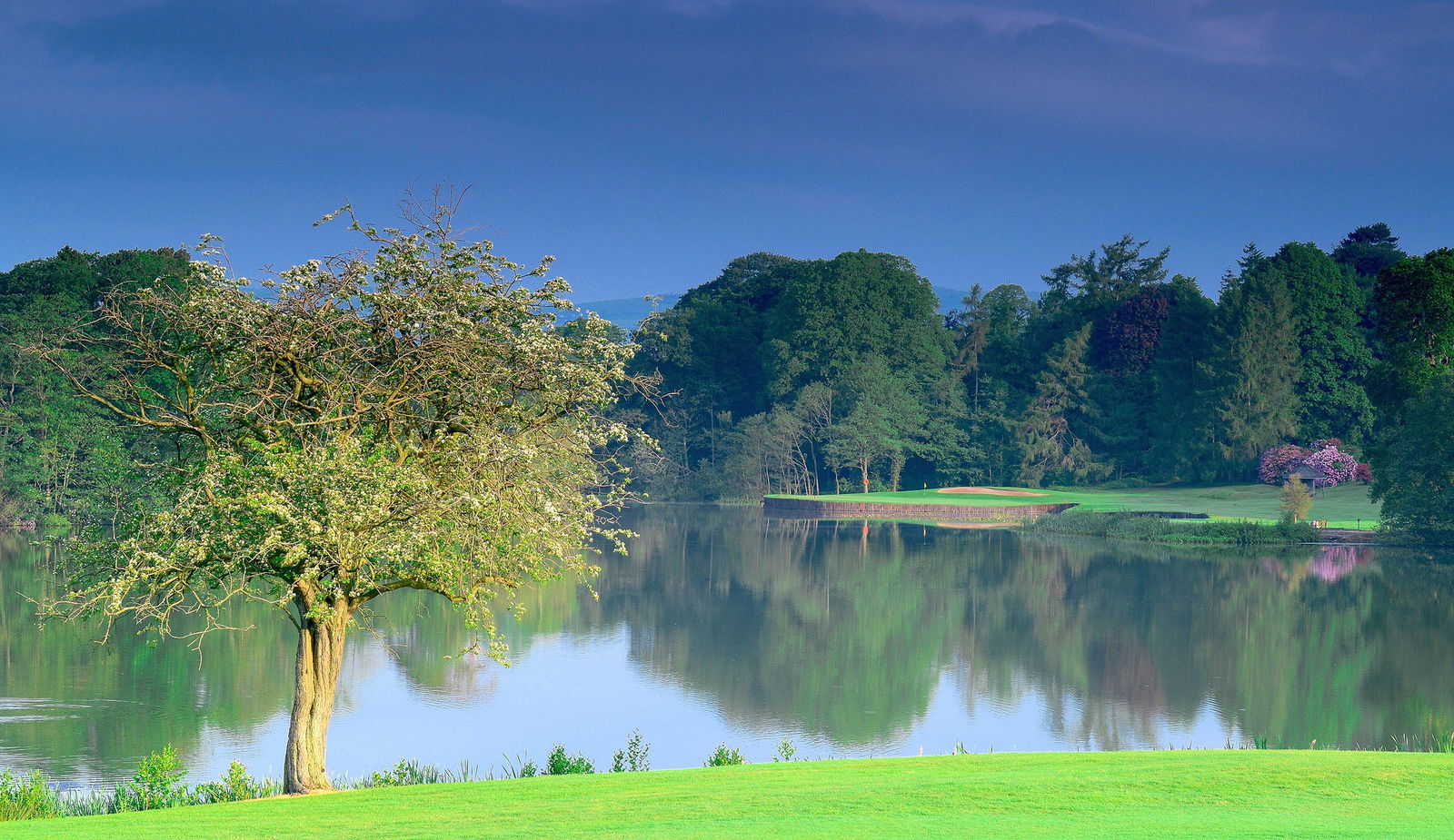Rory McIlroy's Holywood Golf Club: review