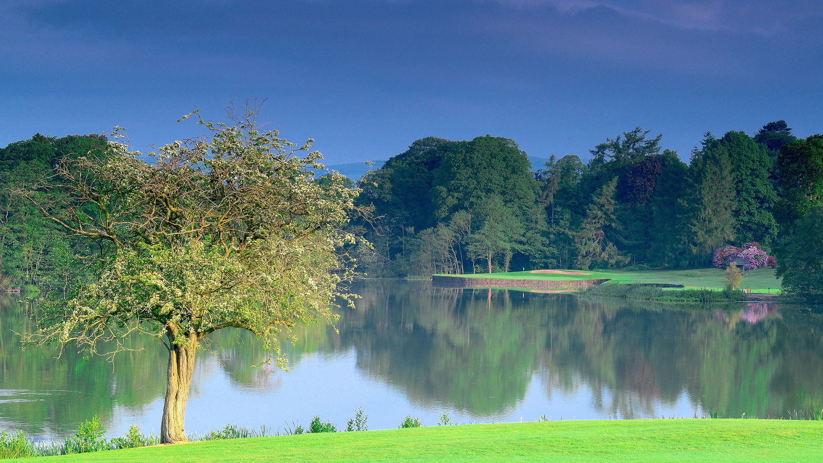 Malone Golf Club: review