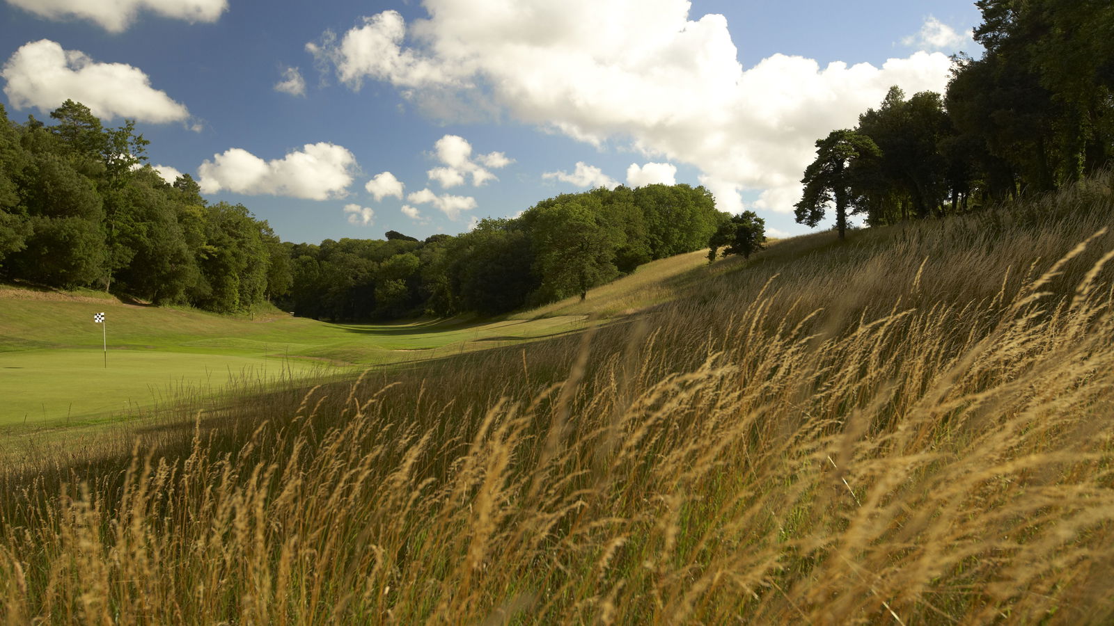 Goodwood, Downs course: review