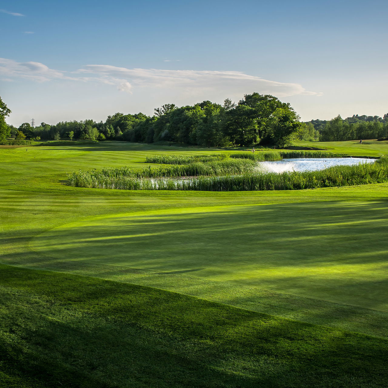 Foxhills Longcross course review: Parkland golf that demands precision