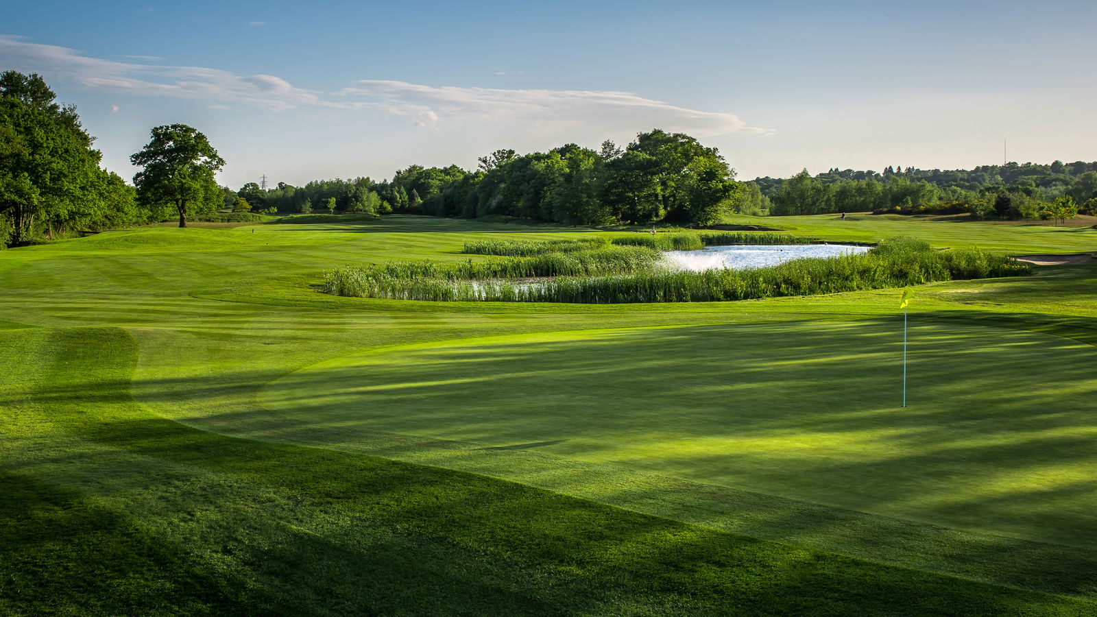 Burhill, New Course: review