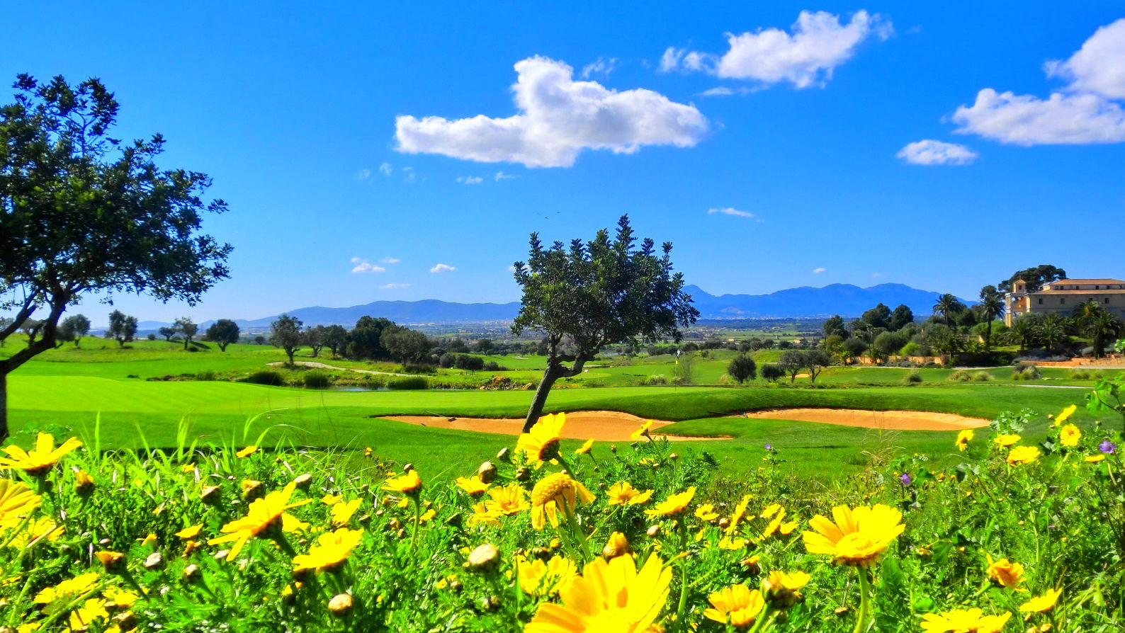 Son Gual, Mallorca: course review