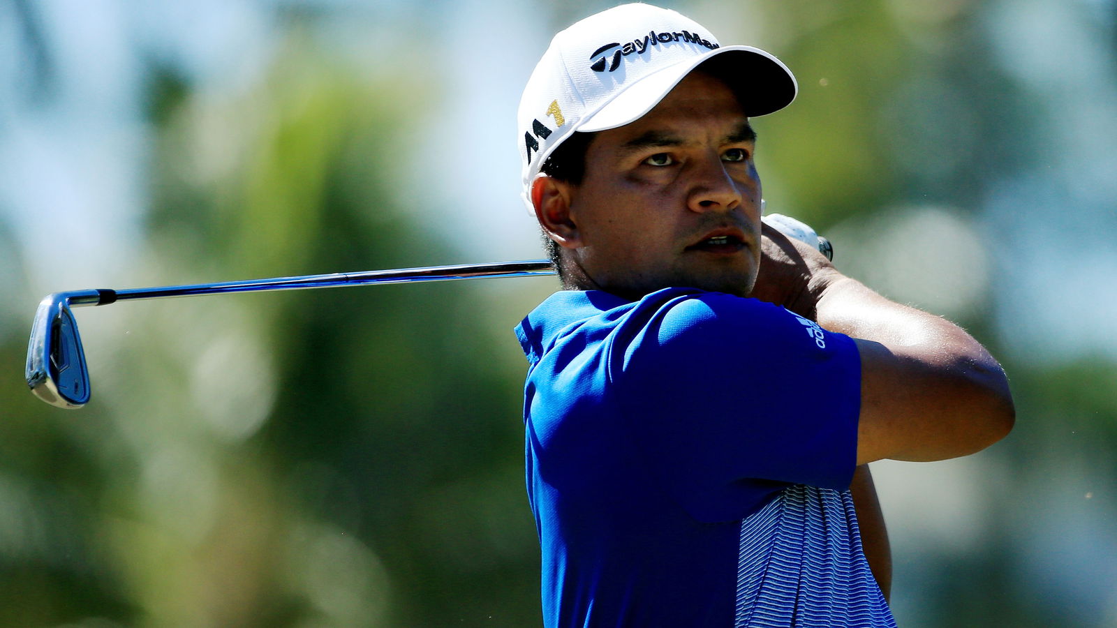 Fabian Gomez: in the bag