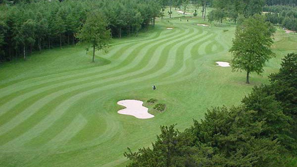 Forest Pines bids for Solheim Cup 2015