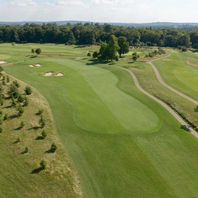 The Grove announces important senior leadership appointments