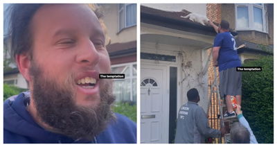 Andrew "Beef" Johnston cracks up at neighbourhood "drama" over stuck cat