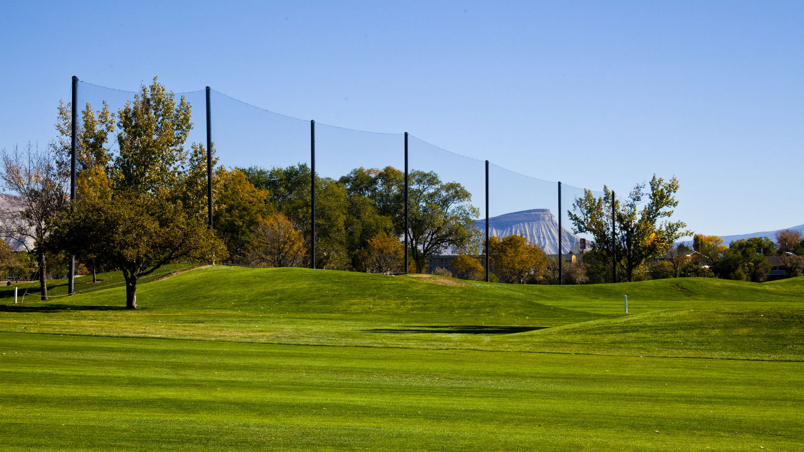 Golf ball up against fence - what is the golf rule in this scenario?