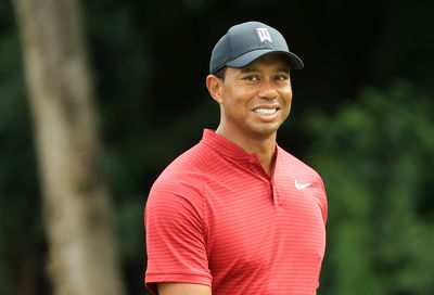 Tiger Woods says he's doing just fine without a golf swing coach