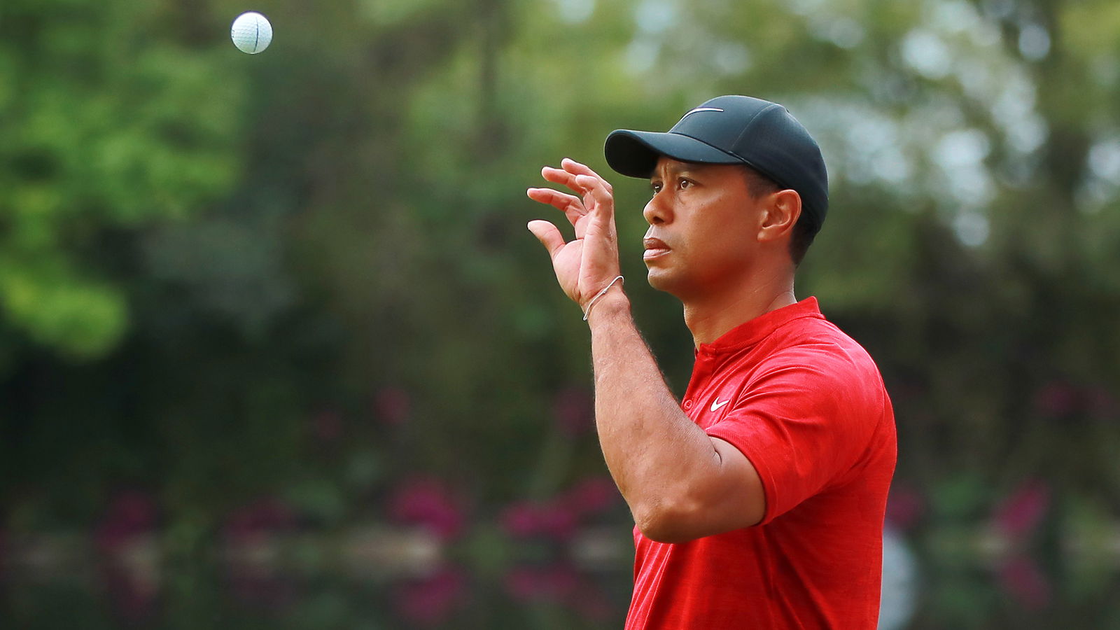 Tiger Woods turns to new putting coach at Players Championship