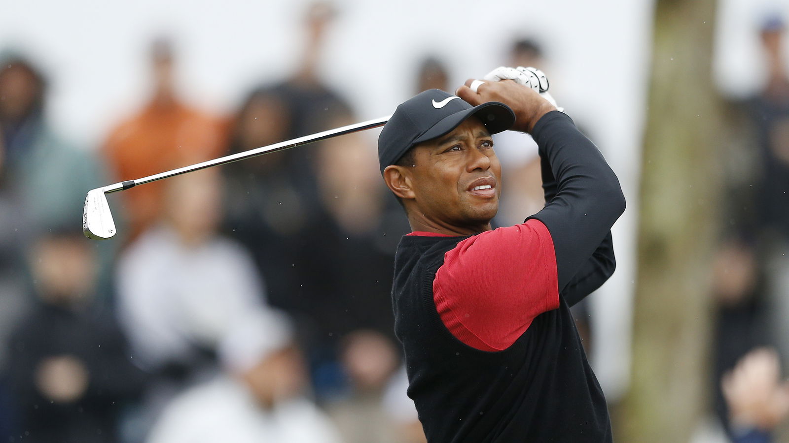TaylorMade releases Tiger Woods' P7TW irons to the market!