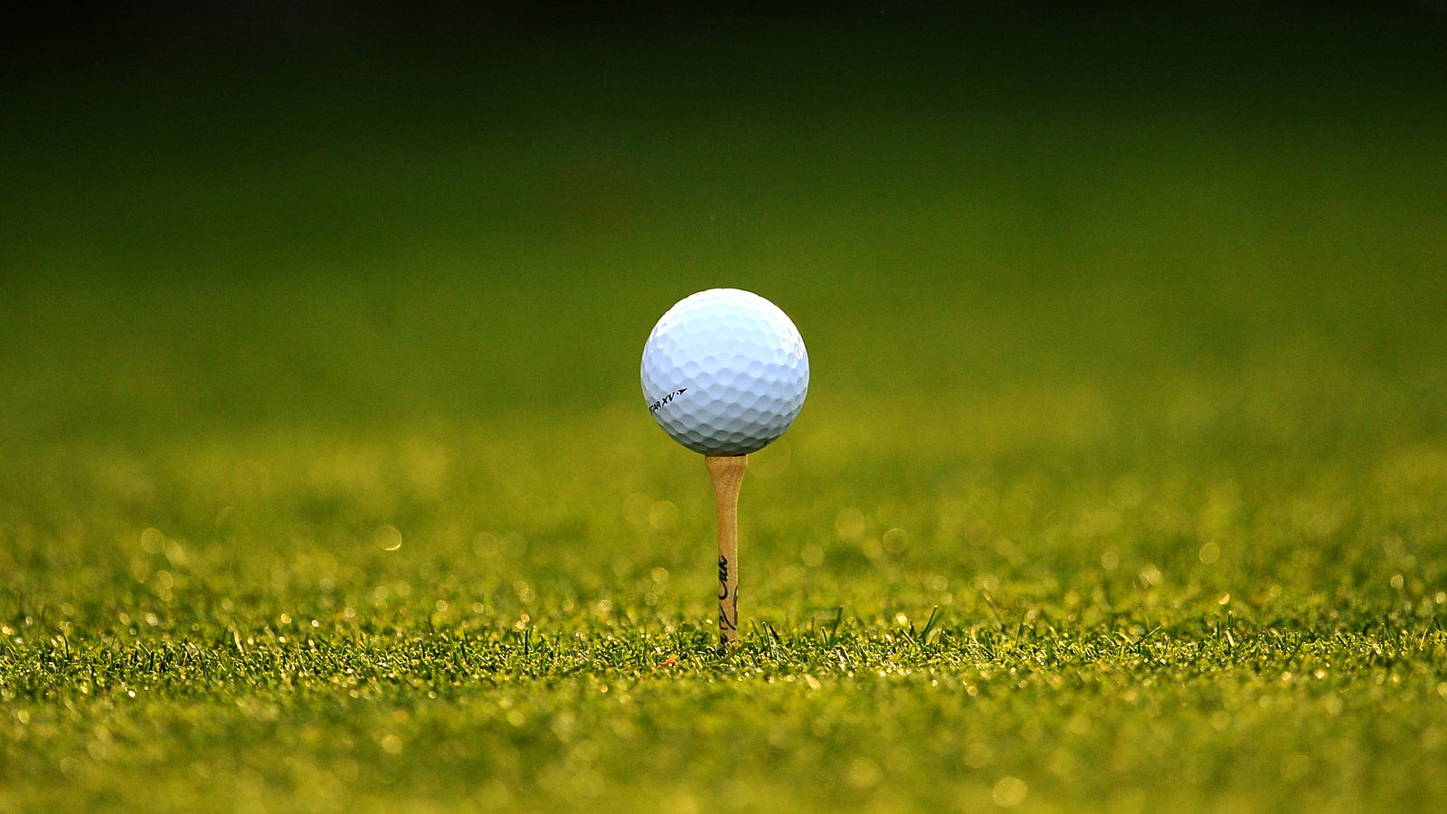 Golf ball 