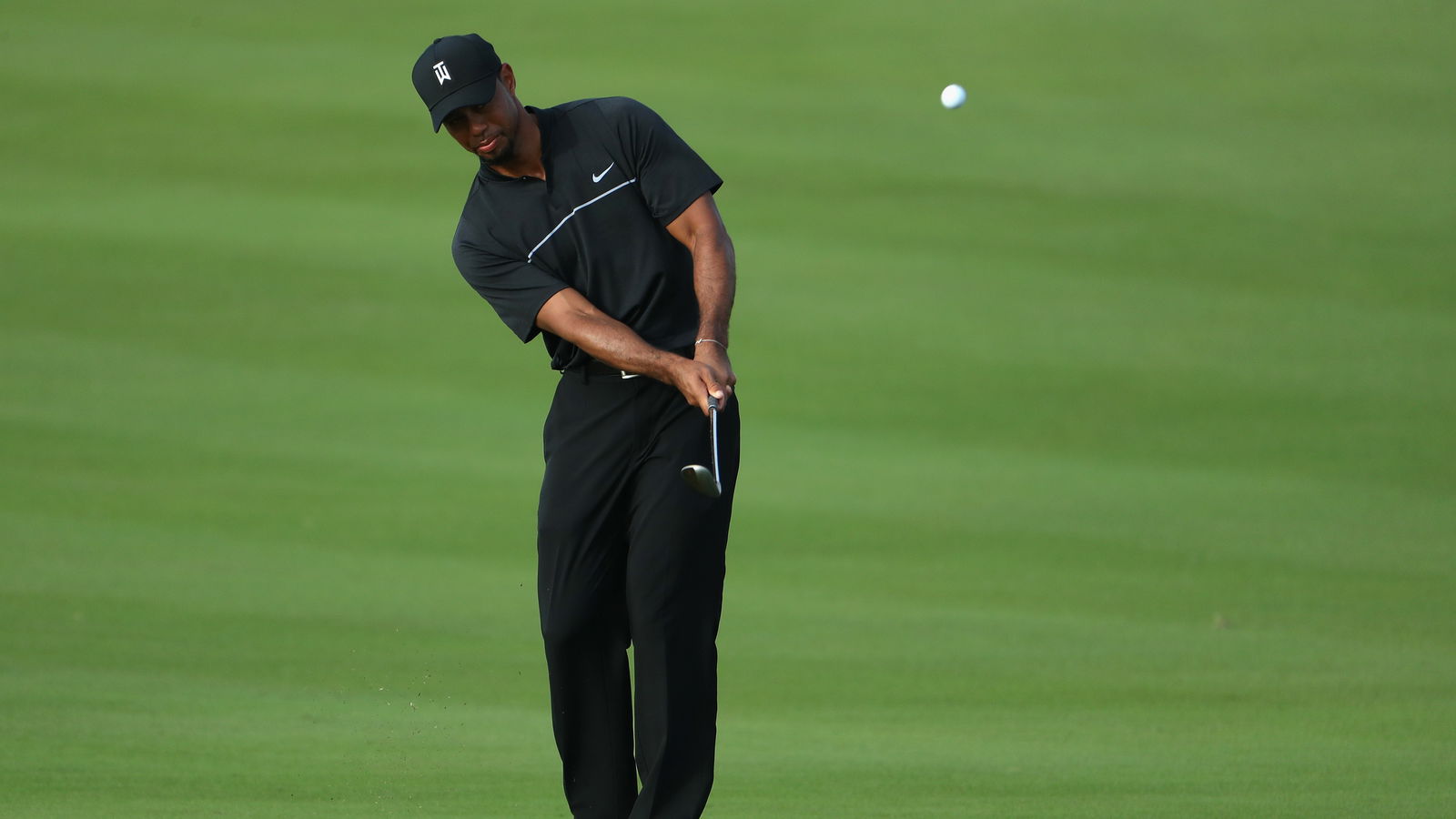 Tiger Woods back pitching on a golf course again