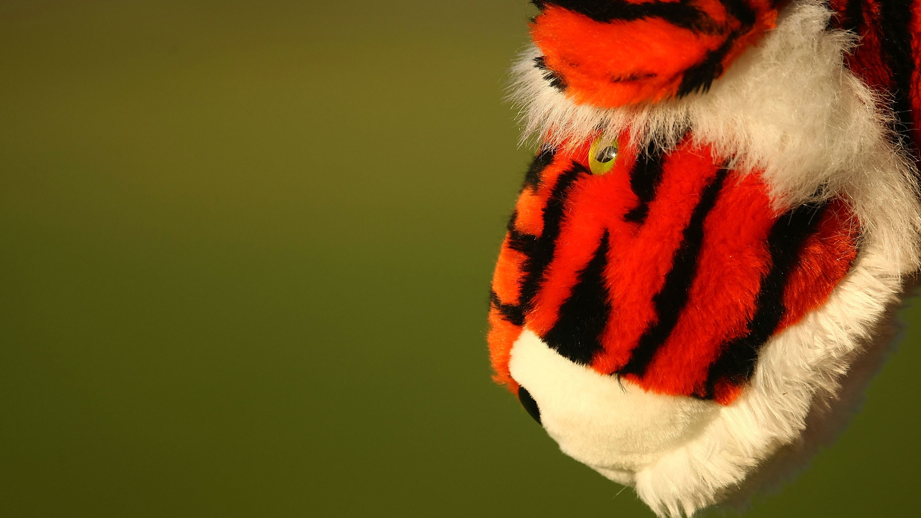 Tiger Woods: the golf equipment Tiger has played ever since 1995