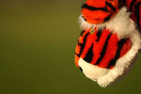 Tiger Woods: the golf equipment Tiger has played ever since 1995