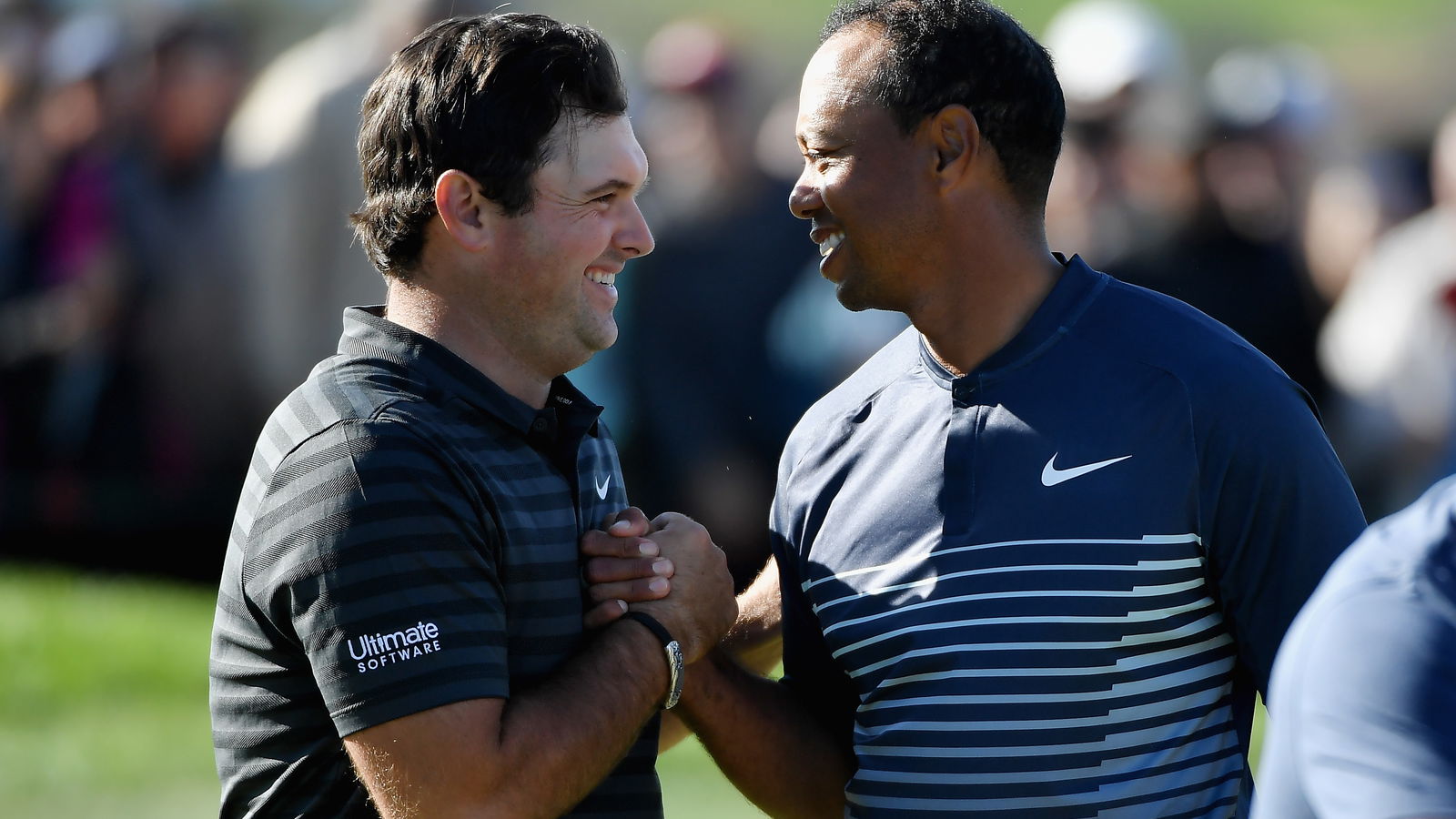 Reed: 'dream of mine to see Tiger of old competing'