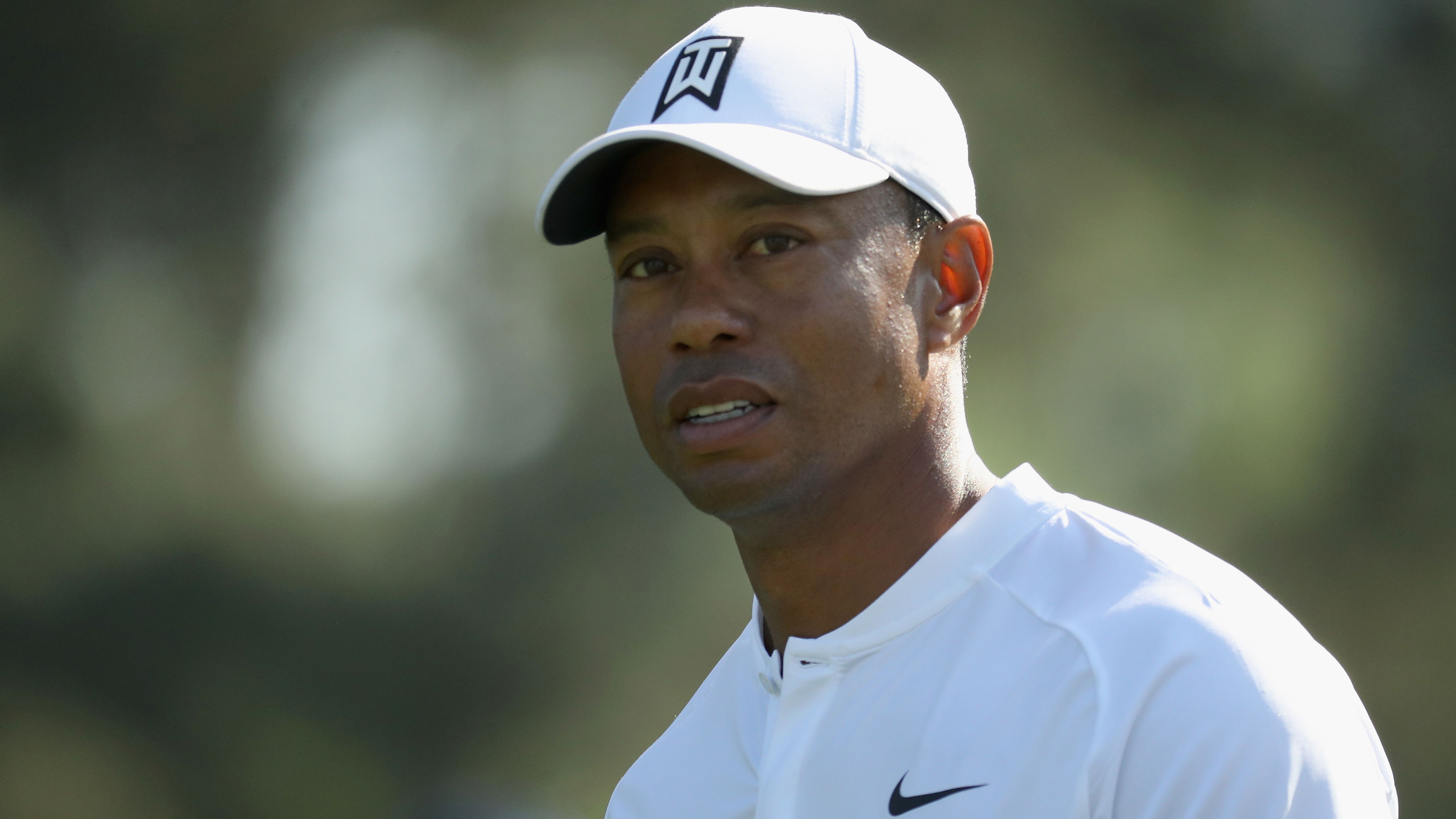 Tiger Woods urges fans to "just kind of slow down" 