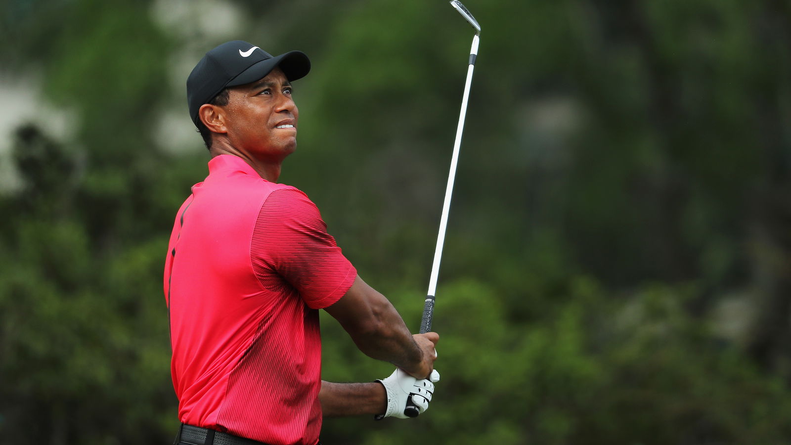 Someone has paid $50k to caddie for Tiger in a Pro-Am round