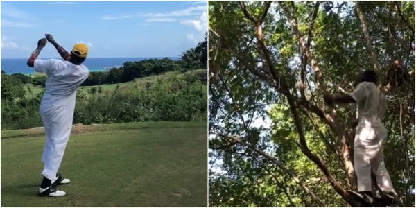 Gloveless caddie loses pro long driver's club UP A TREE when he takes a tee shot