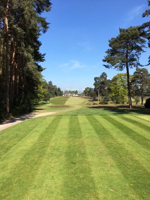 Walton Heath: New Course review