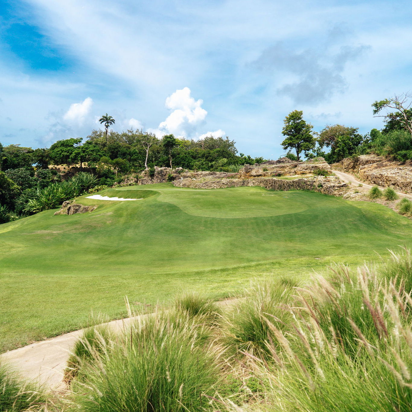 Ron Kirby gives green light to 'Caribbean Masterpiece' at Apes Hill Barbados