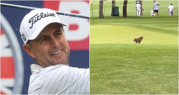 WATCH: Bland's day "summed up" at US PGA after squirrel moves his ball